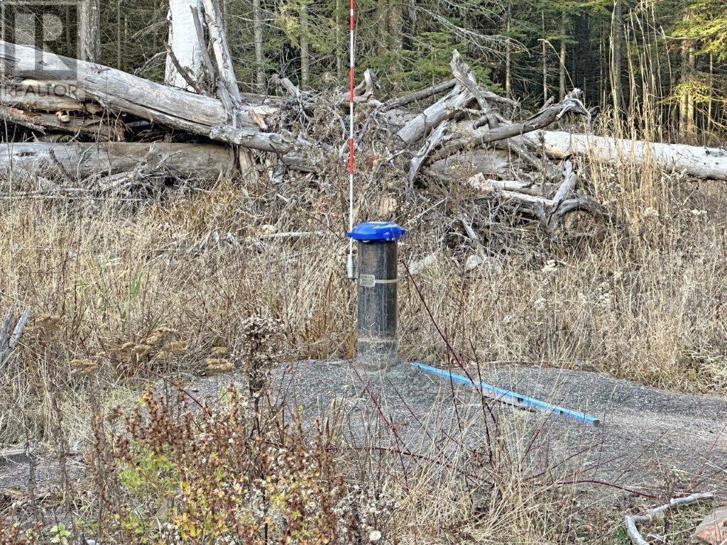 115 Golf Course Road, Nipigon, Ontario  P0T 2J0 - Photo 41 - TB252379