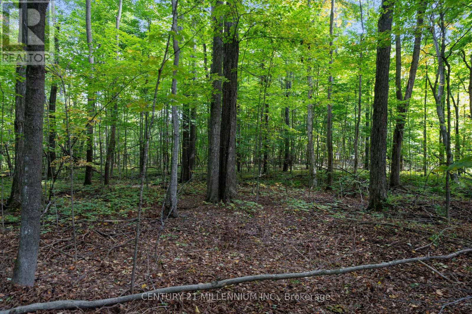 7 Erinwood Drive, Erin, Ontario  N0B 1T0 - Photo 30 - X12533046