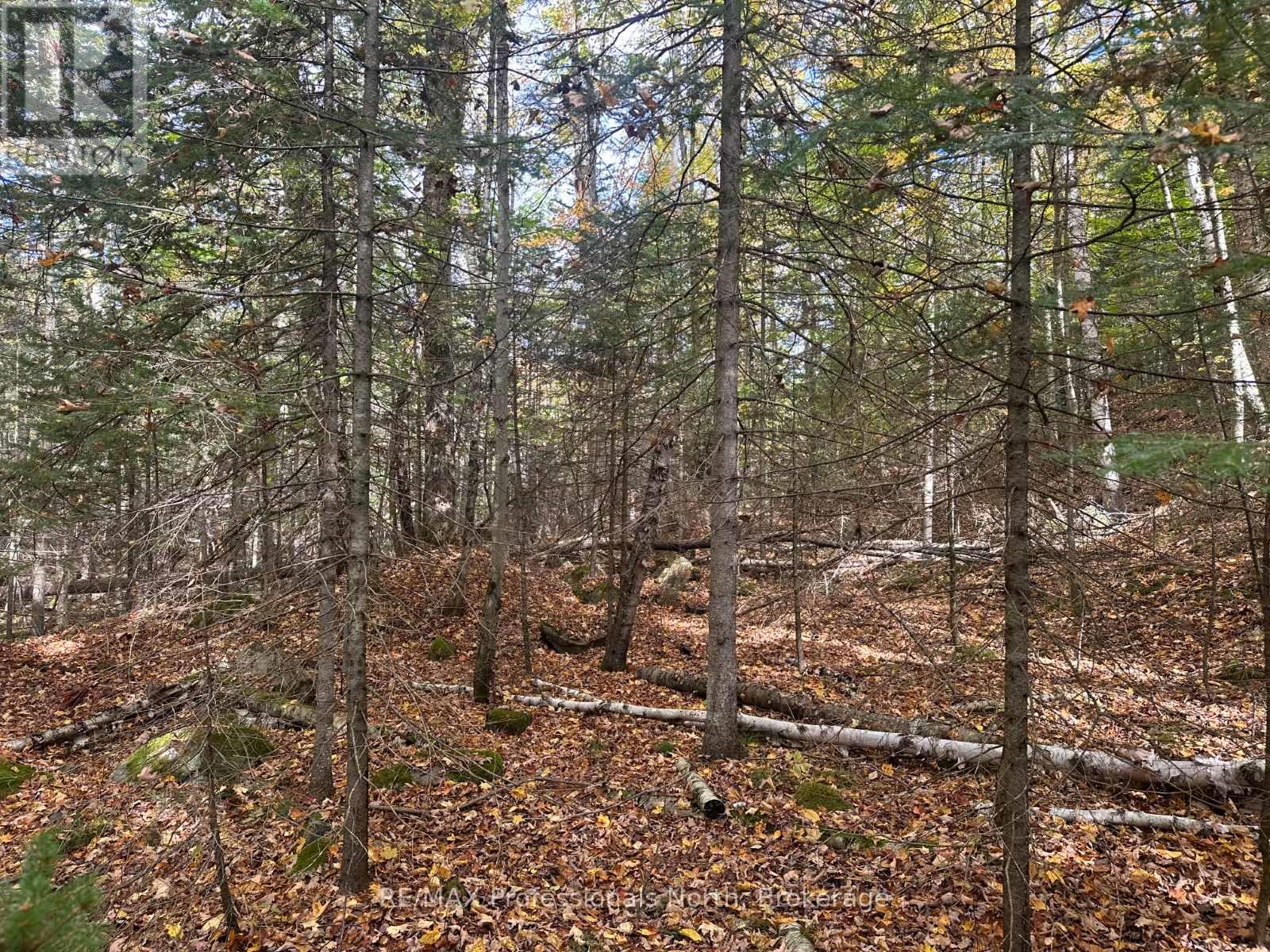 0 Parish Line Road, Dysart Et Al, Ontario  K0M 1S0 - Photo 12 - X12175942