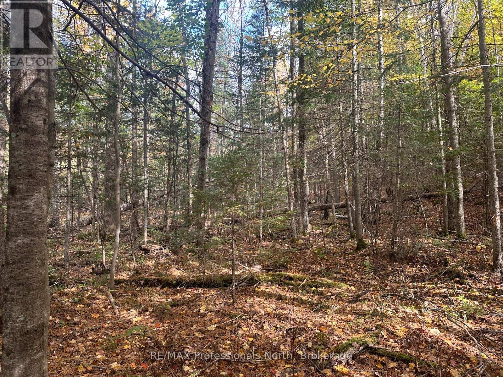 0 Parish Line Road, Dysart Et Al, Ontario  K0M 1S0 - Photo 10 - X12175942