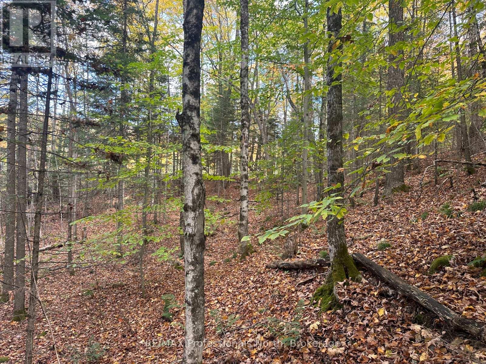 0 Parish Line Road, Dysart Et Al, Ontario  K0M 1S0 - Photo 14 - X12175942