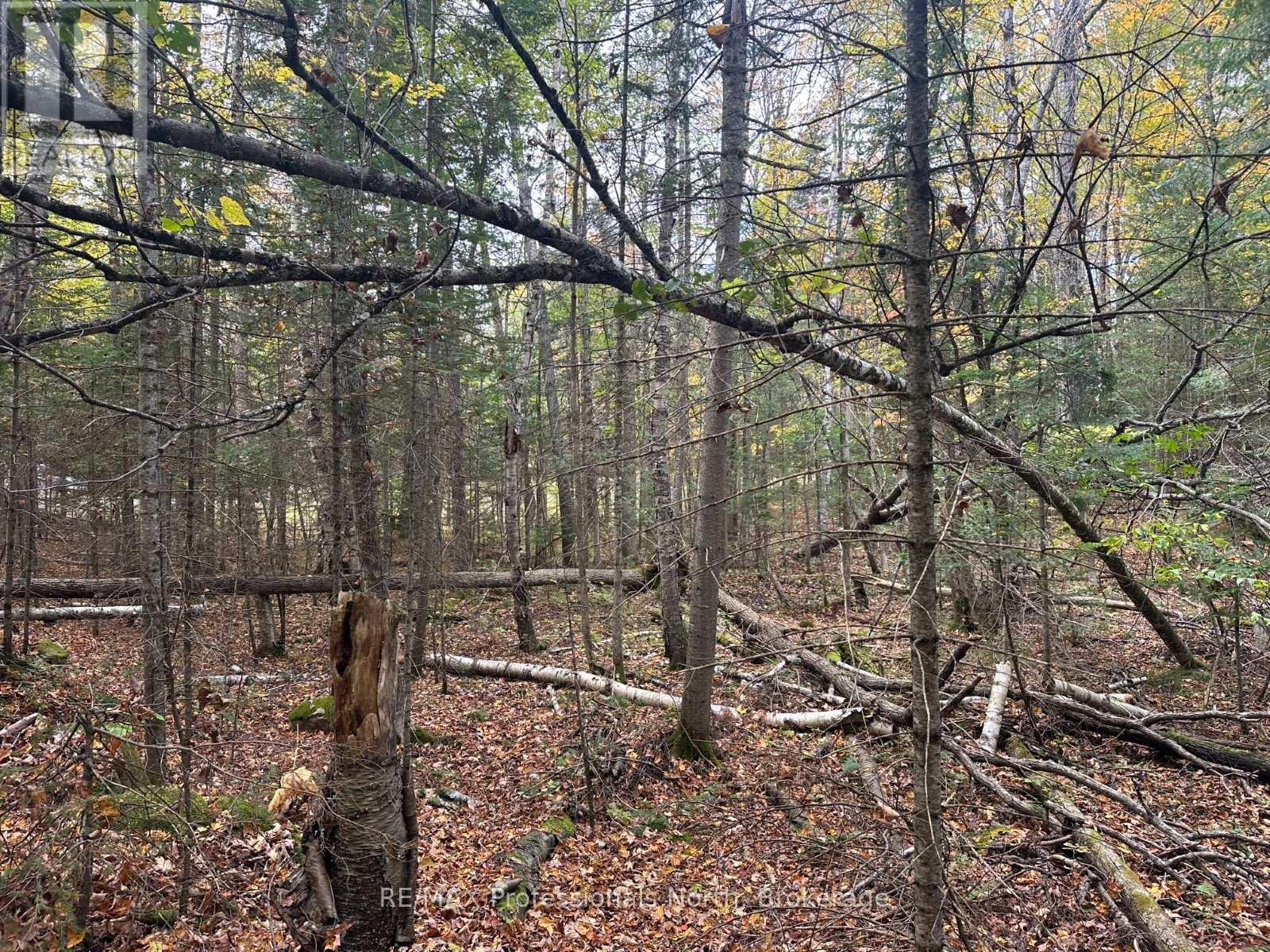 0 Parish Line Road, Dysart Et Al, Ontario  K0M 1S0 - Photo 15 - X12175942