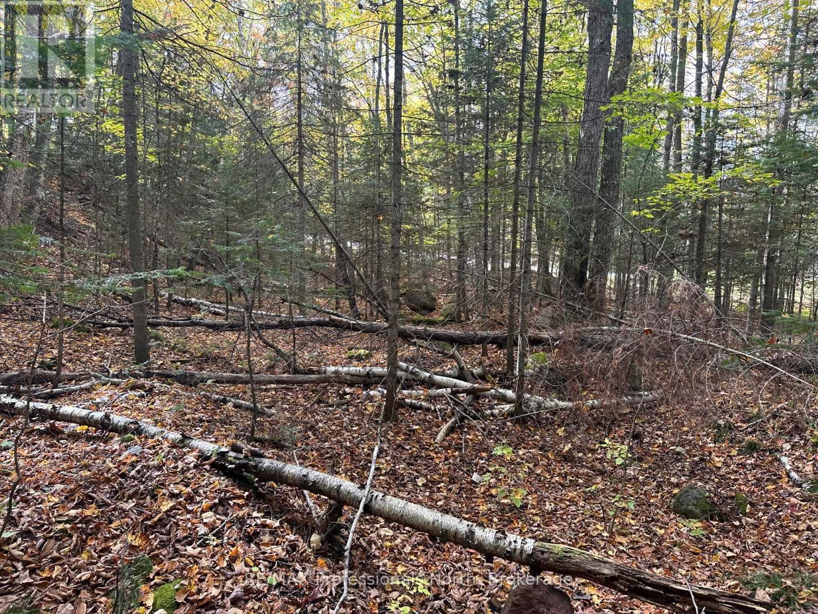 0 Parish Line Road, Dysart Et Al, Ontario  K0M 1S0 - Photo 13 - X12175942