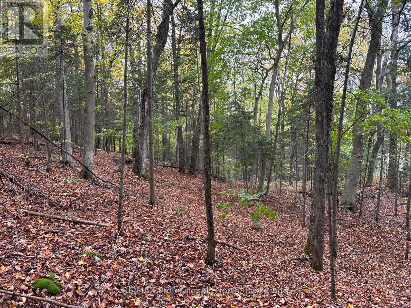 0 Parish Line Road, Dysart Et Al, Ontario  K0M 1S0 - Photo 16 - X12175942