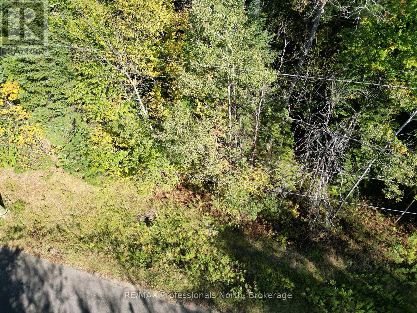 0 Parish Line Road, Dysart Et Al, Ontario  K0M 1S0 - Photo 5 - X12175942