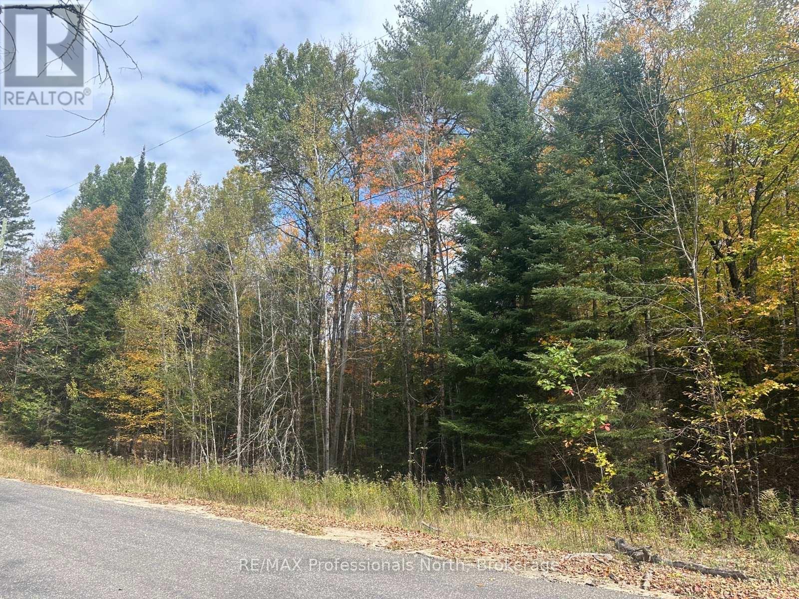 0 Parish Line Road, Dysart Et Al, Ontario  K0M 1S0 - Photo 7 - X12175942