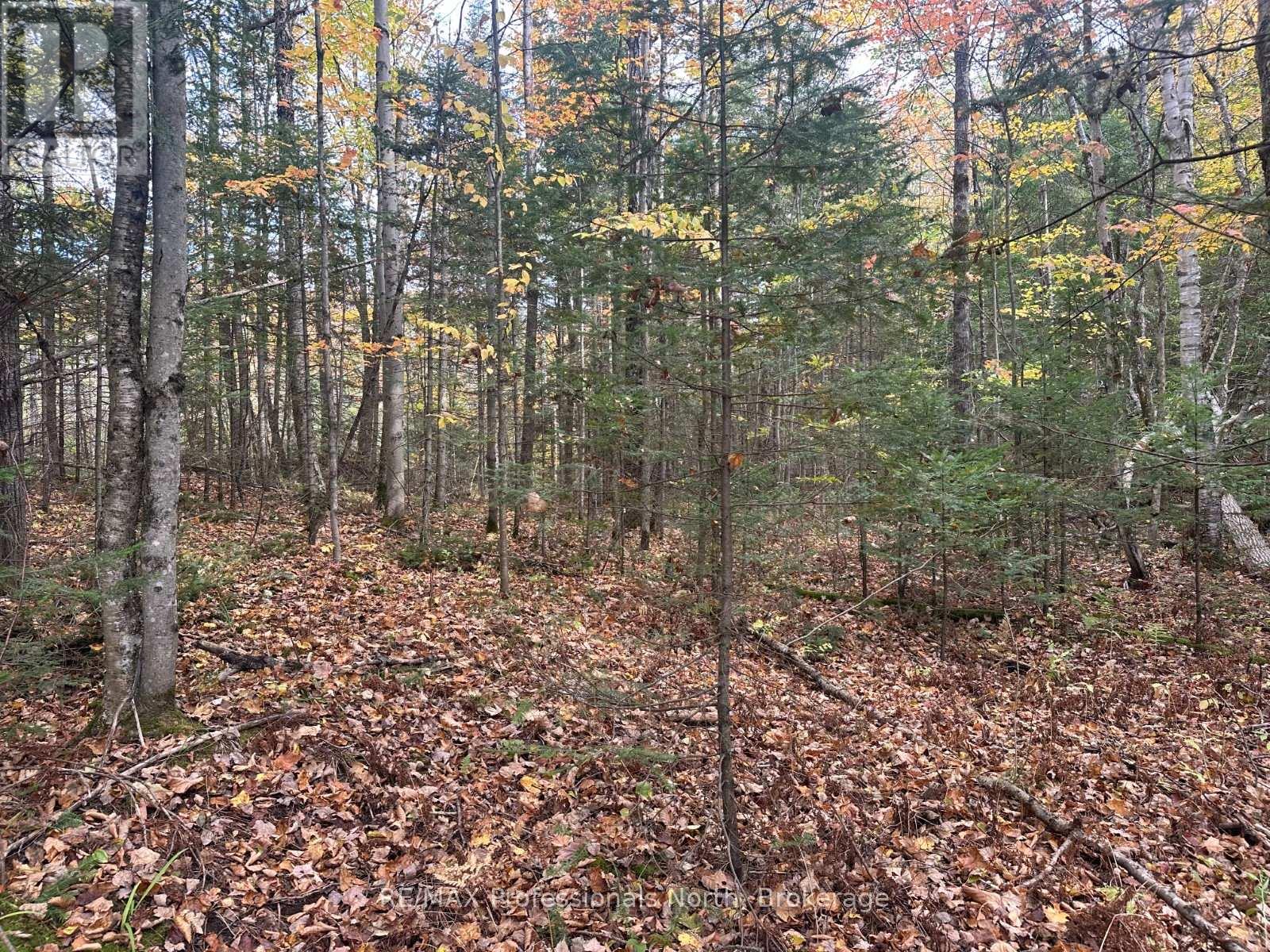 0 Parish Line Road, Dysart Et Al, Ontario  K0M 1S0 - Photo 9 - X12175942