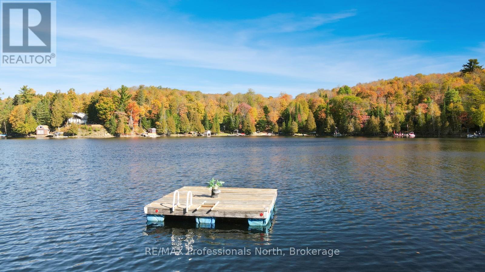 1005 Osgoode Road, Minden Hills, Ontario  K0M 2K0 - Photo 40 - X12441460