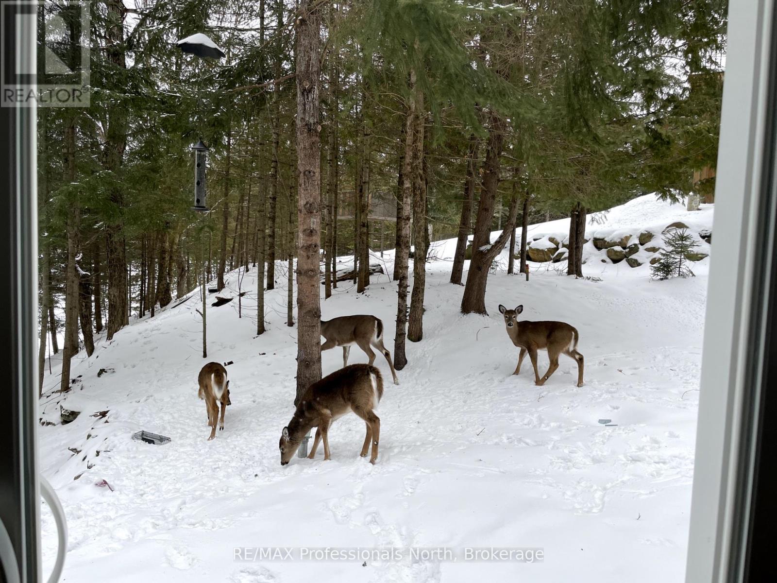 1005 Osgoode Road, Minden Hills, Ontario  K0M 2K0 - Photo 43 - X12441460