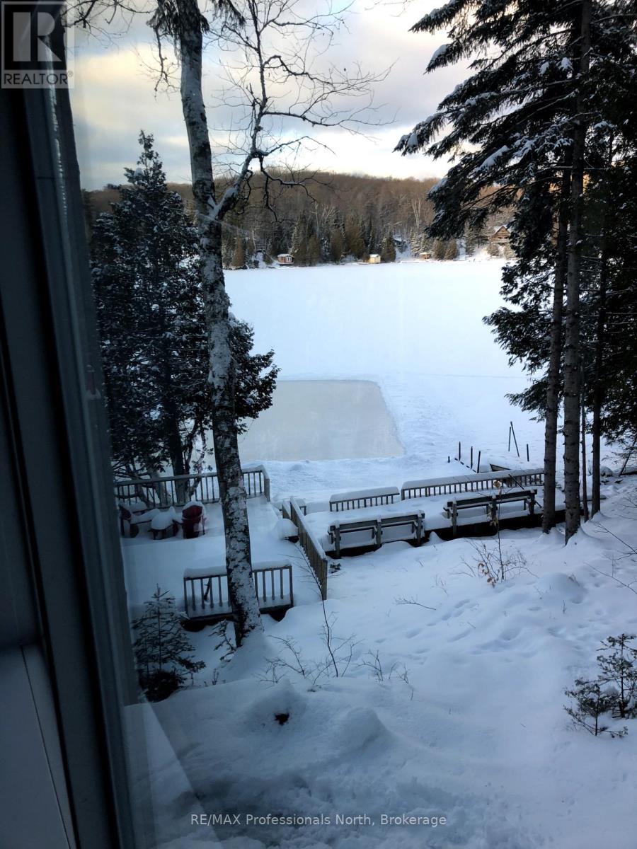 1005 Osgoode Road, Minden Hills, Ontario  K0M 2K0 - Photo 47 - X12441460