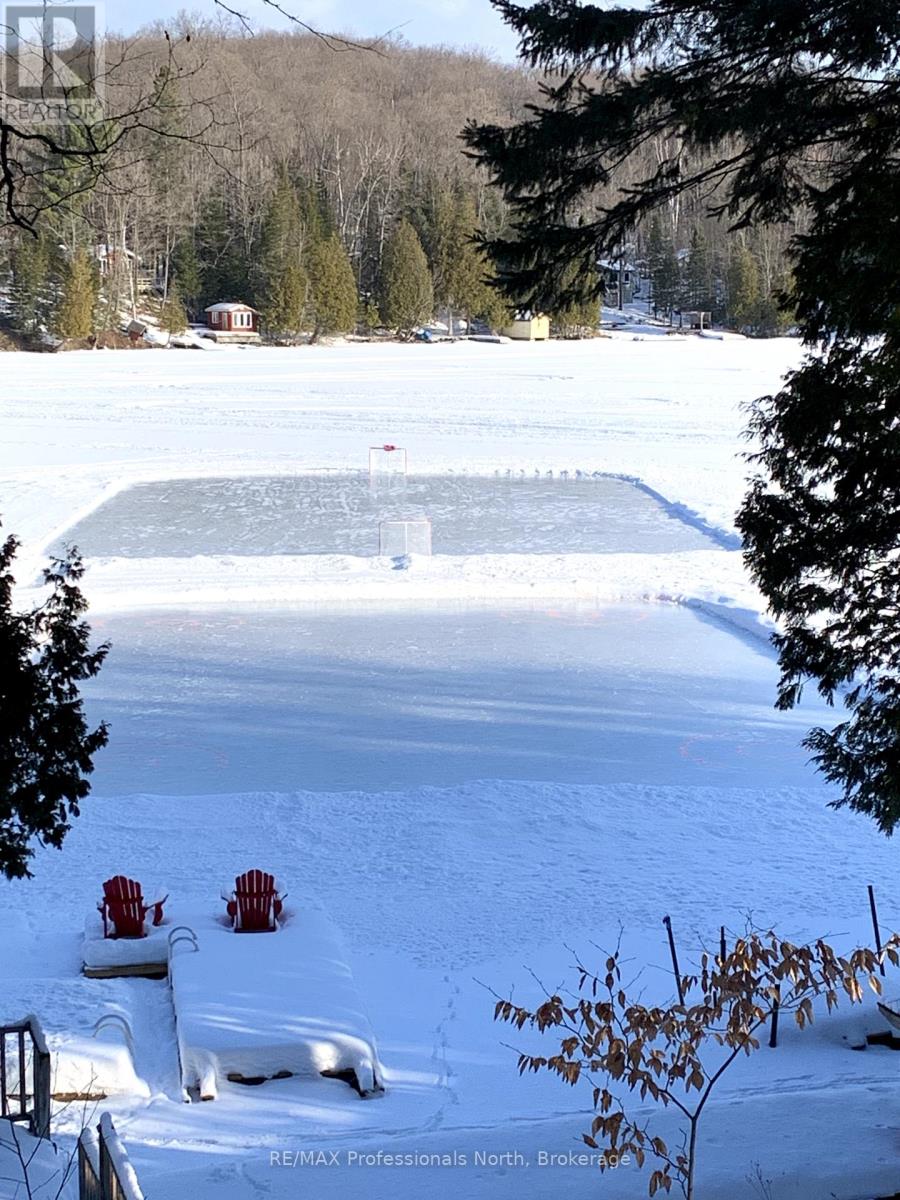 1005 Osgoode Road, Minden Hills, Ontario  K0M 2K0 - Photo 45 - X12441460