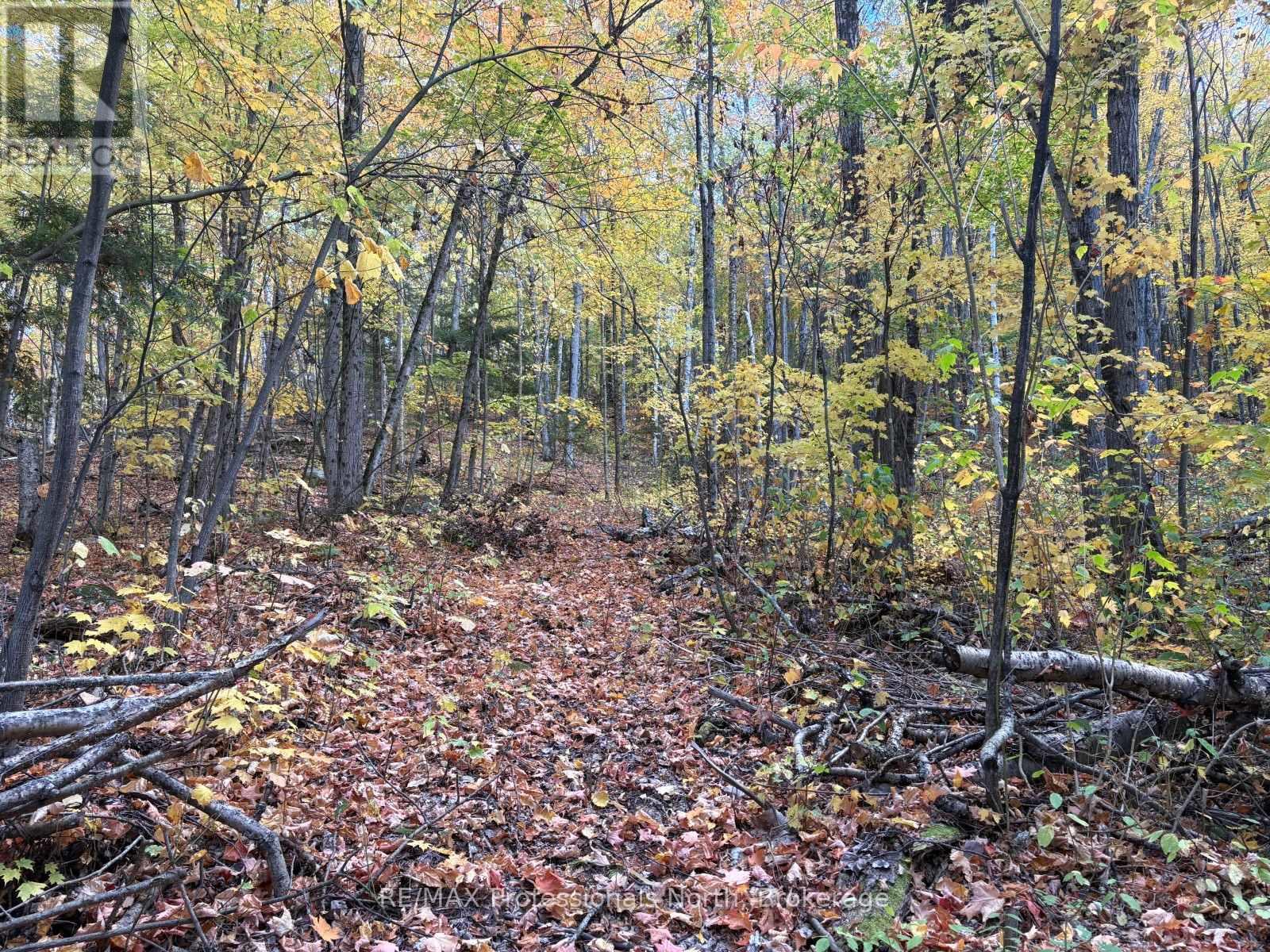 Pt Lt 12-13 Con 2 Baptiste Lake Wao, Hastings Highlands, Ontario K0L 1C0 - Photo 16 - X12482281