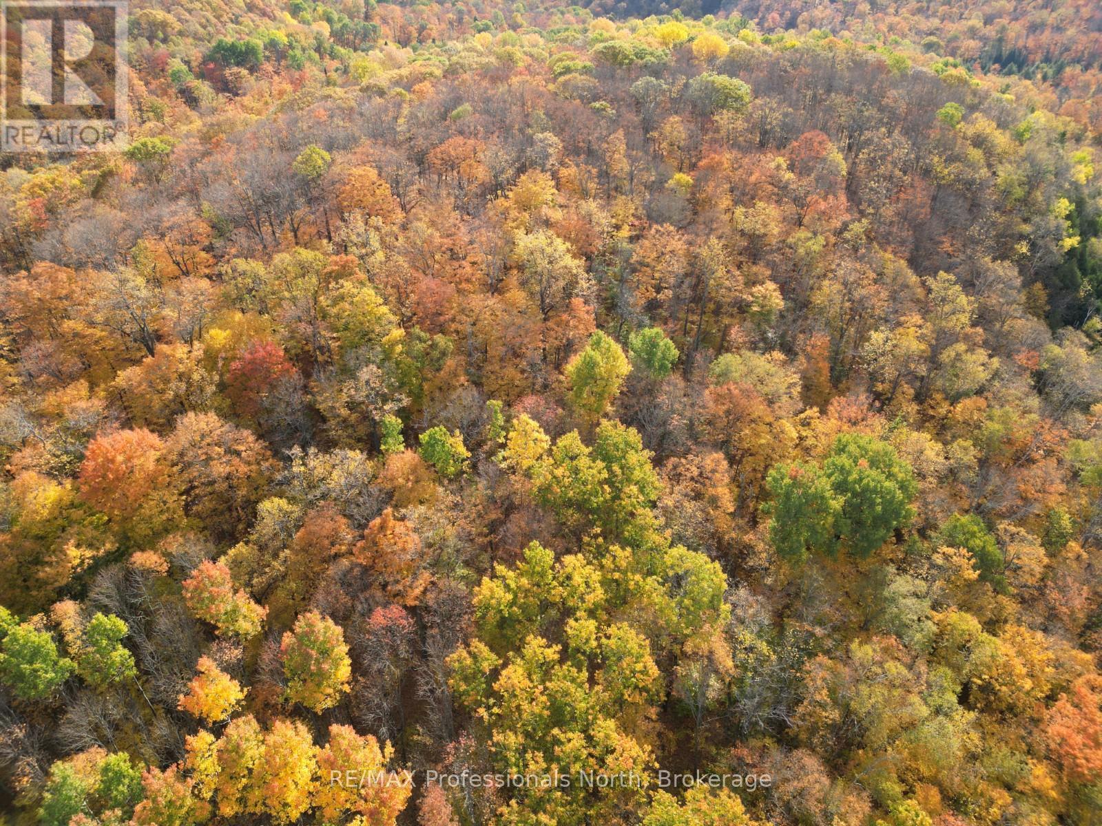 Pt Lt 12-13 Con 2 Baptiste Lake Wao, Hastings Highlands, Ontario K0L 1C0 - Photo 24 - X12482281