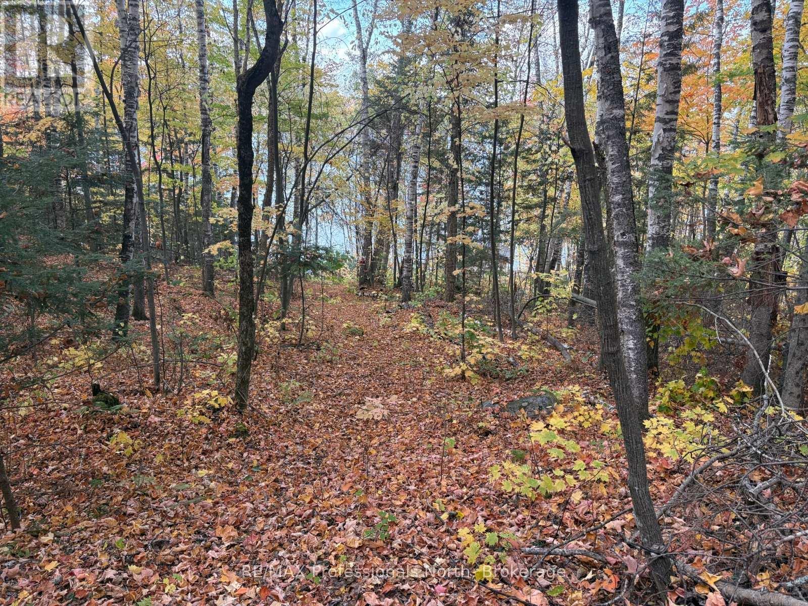 Pt Lt 12-13 Con 2 Baptiste Lake Wao, Hastings Highlands, Ontario K0L 1C0 - Photo 17 - X12482281