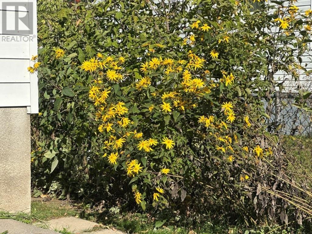 129 Robertson Street, Thunder Bay, Ontario  P7C 2N6 - Photo 4 - TB253379