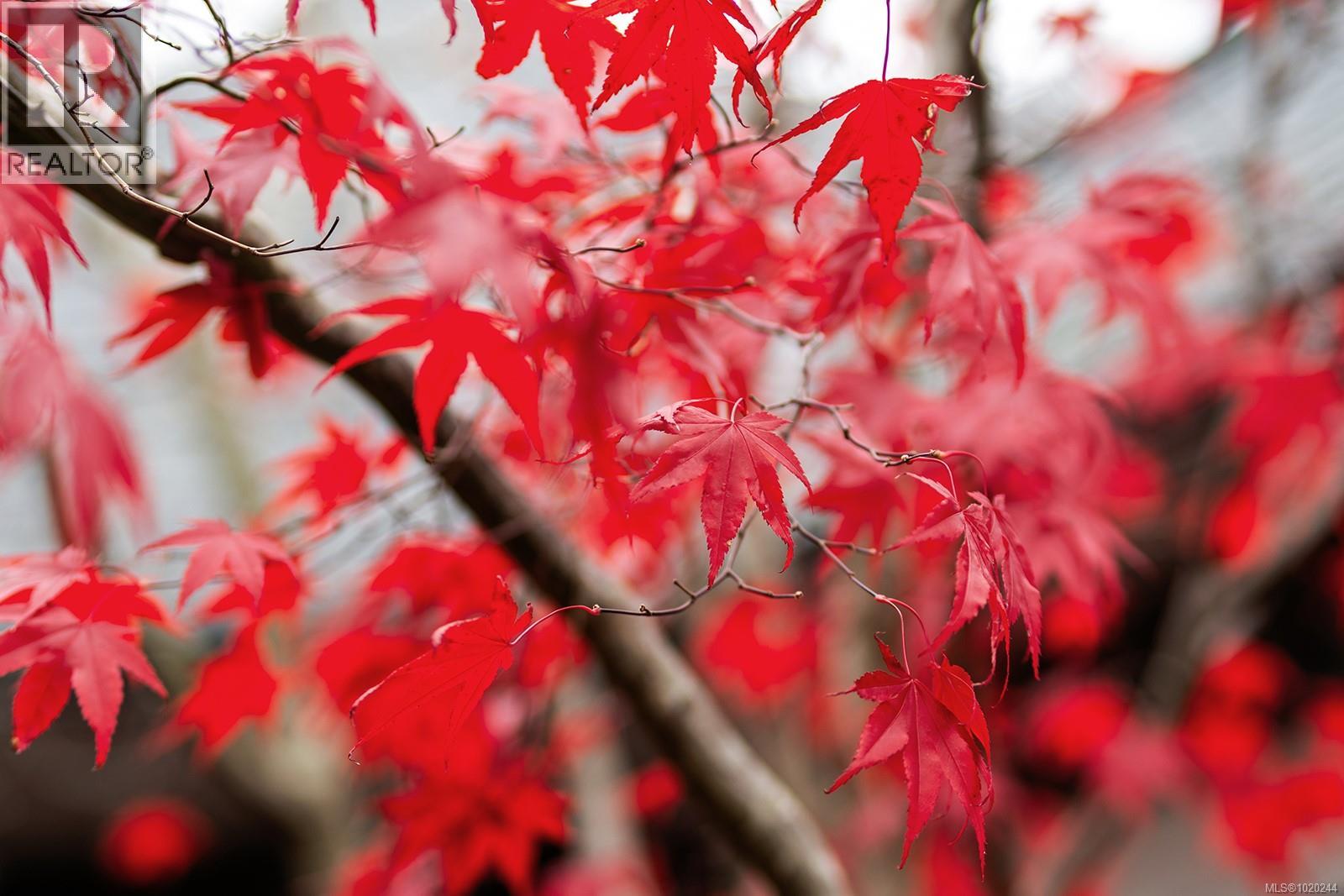 647 Tamarack Dr, Qualicum Beach, British Columbia  V9K 1A8 - Photo 13 - 1020244