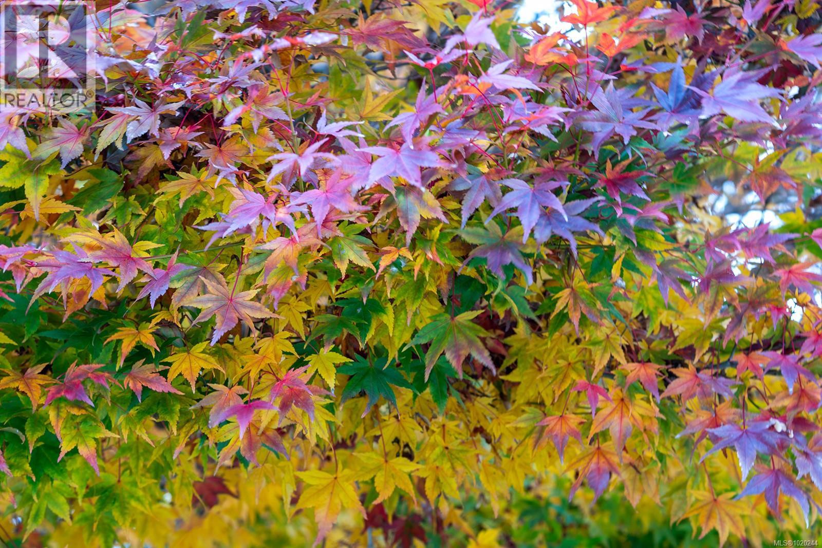 647 Tamarack Dr, Qualicum Beach, British Columbia  V9K 1A8 - Photo 12 - 1020244