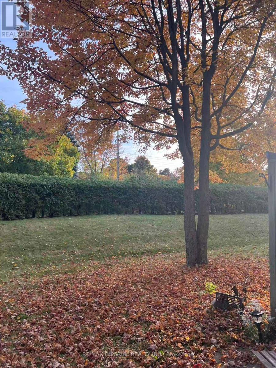 Upper - 1986 John Street, Markham, Ontario  L3T 1Z1 - Photo 9 - N12533622