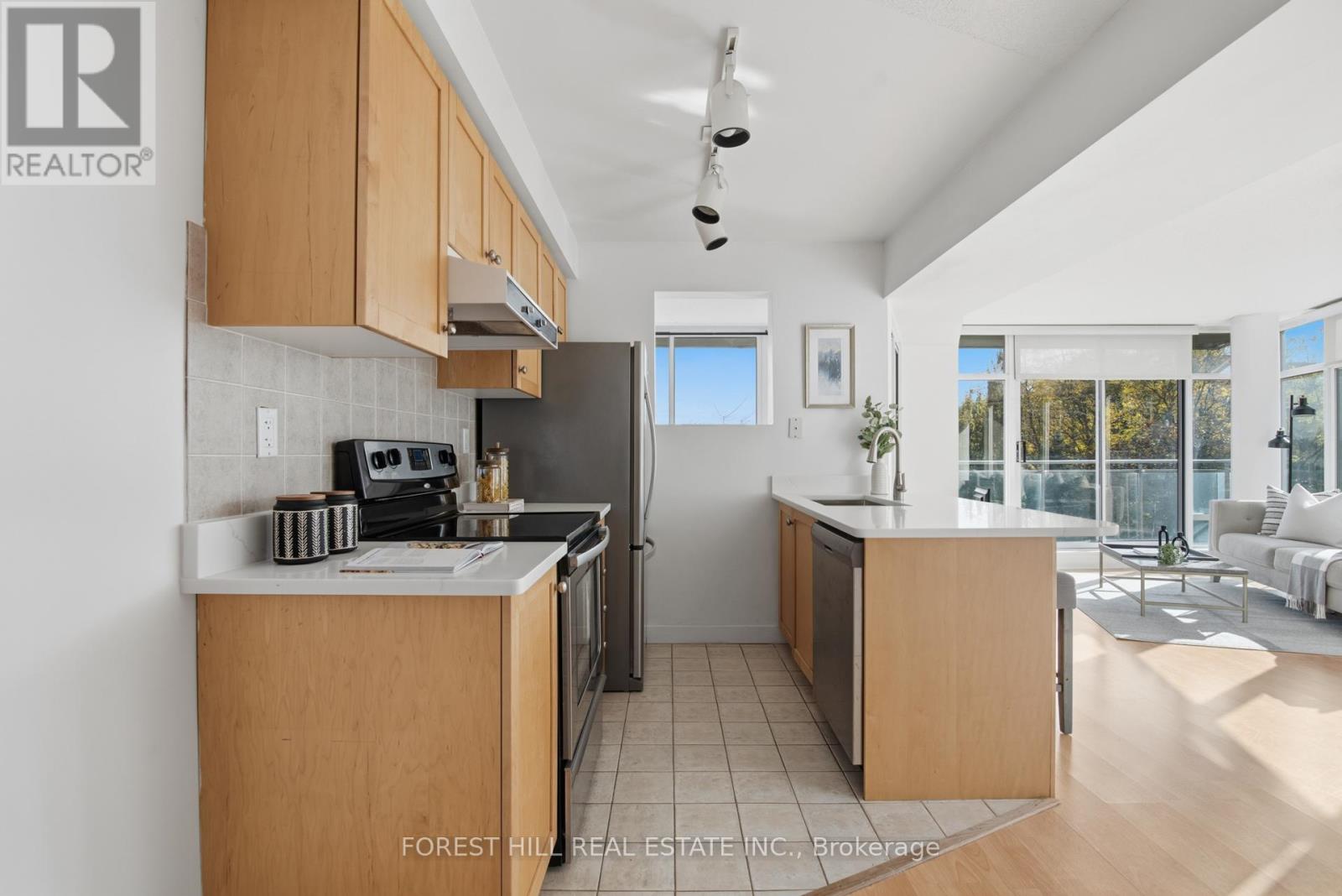 516 - 650 Queens Quay W Boulevard, Toronto, Ontario  M5V 3N2 - Photo 20 - C12533776