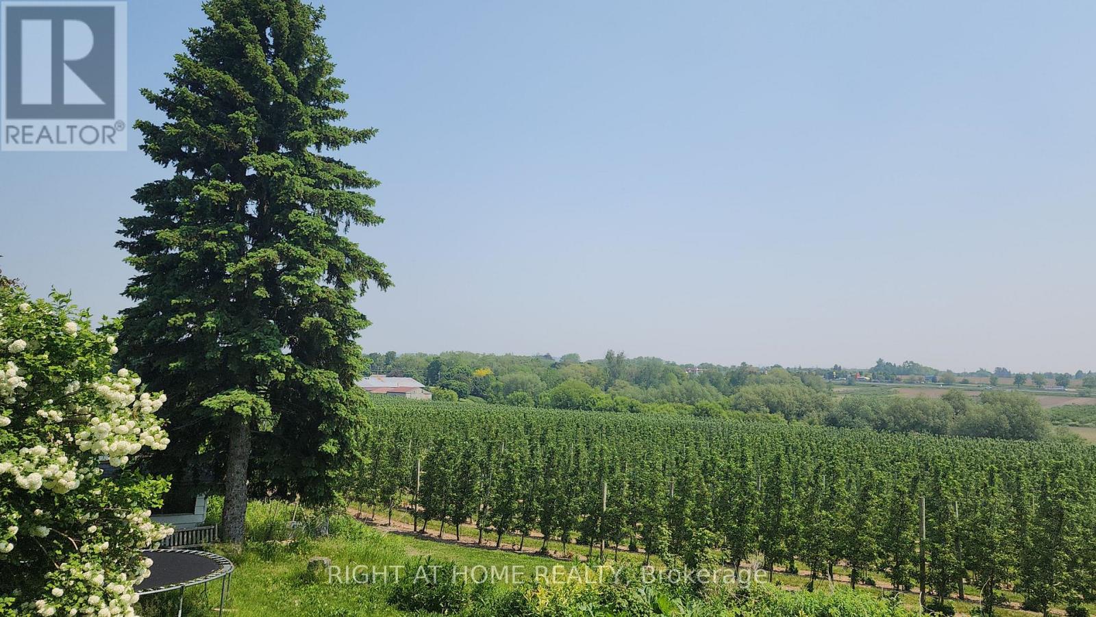 2853 Bellwood Drive, Clarington, Ontario  L1B 0L5 - Photo 11 - E12533770