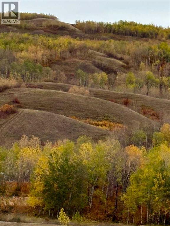 7421 98b Street, Peace River, Alberta  T8S 1B5 - Photo 23 - A2268556