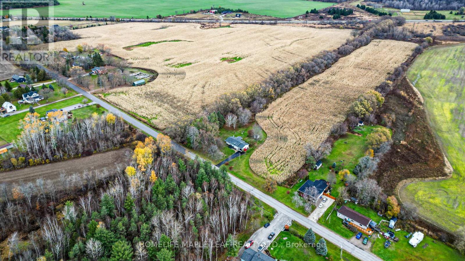 3501 Mccarthy Drive, Clearview, Ontario  L0M 1N0 - Photo 5 - S12533920