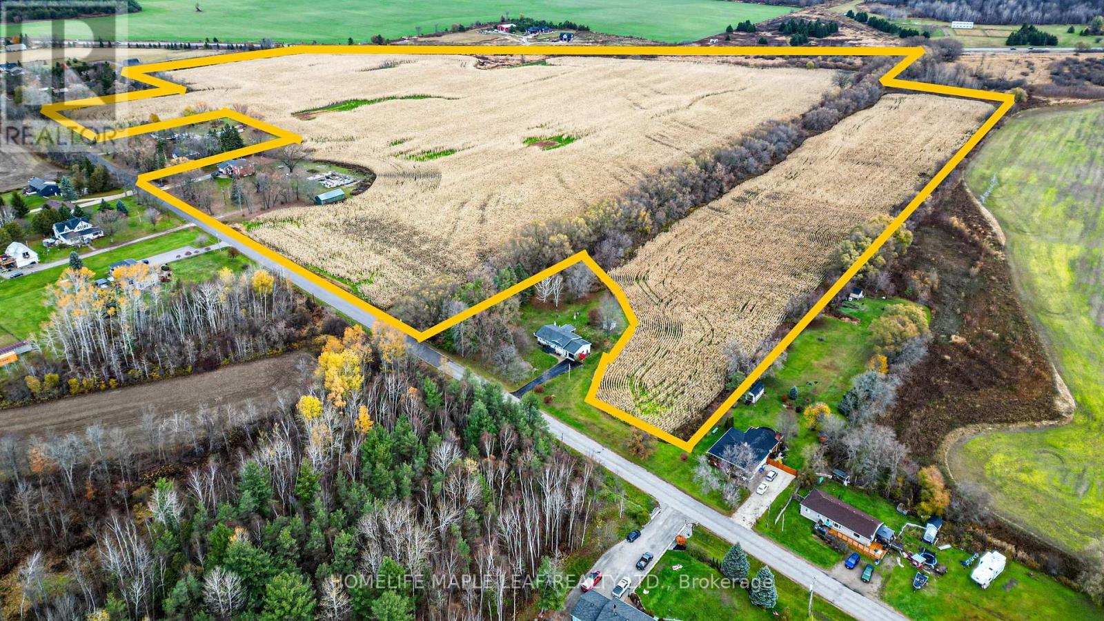 3501 Mccarthy Drive, Clearview, Ontario  L0M 1N0 - Photo 6 - S12533920