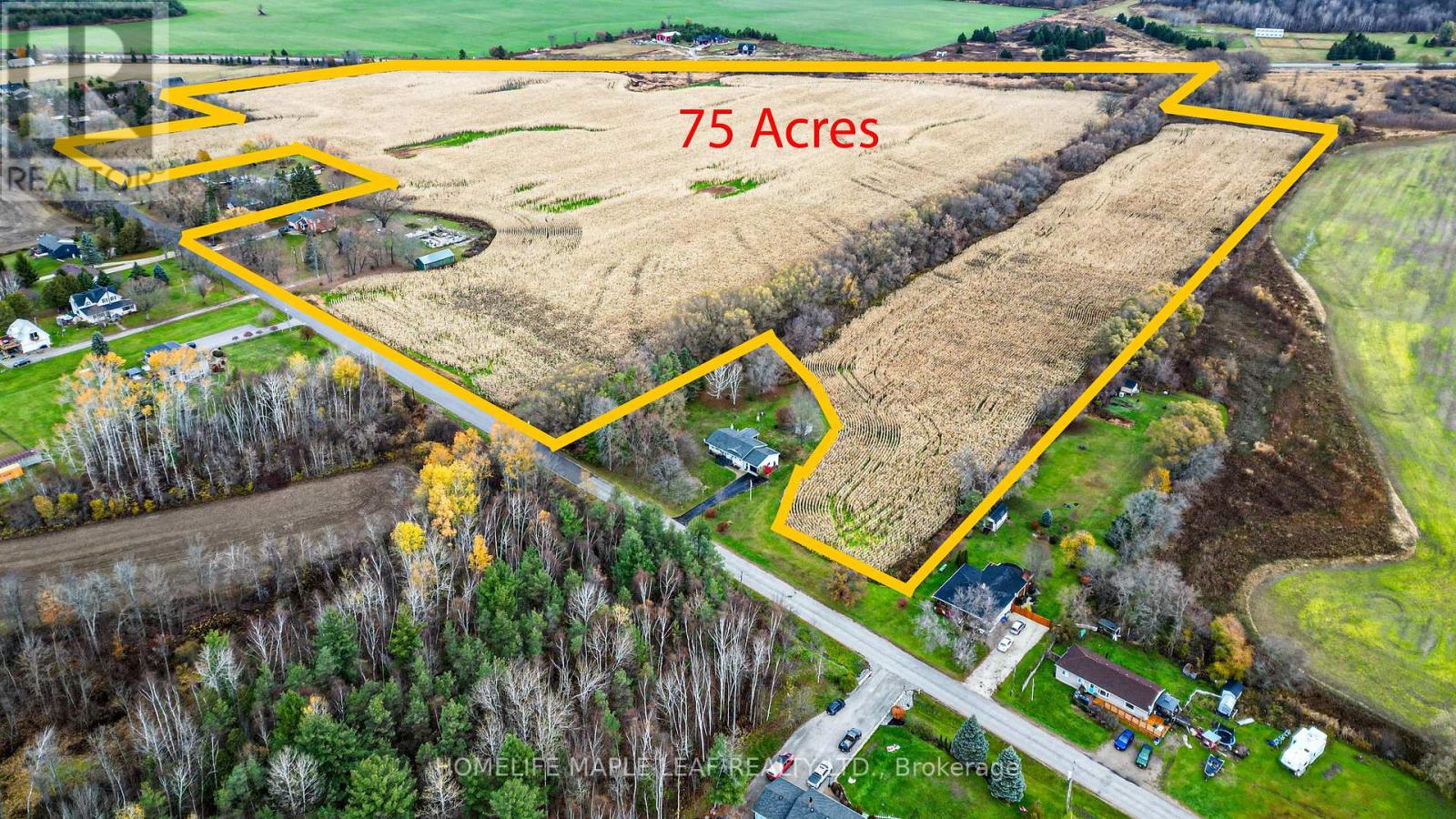 3501 Mccarthy Drive, Clearview, Ontario  L0M 1N0 - Photo 7 - S12533920