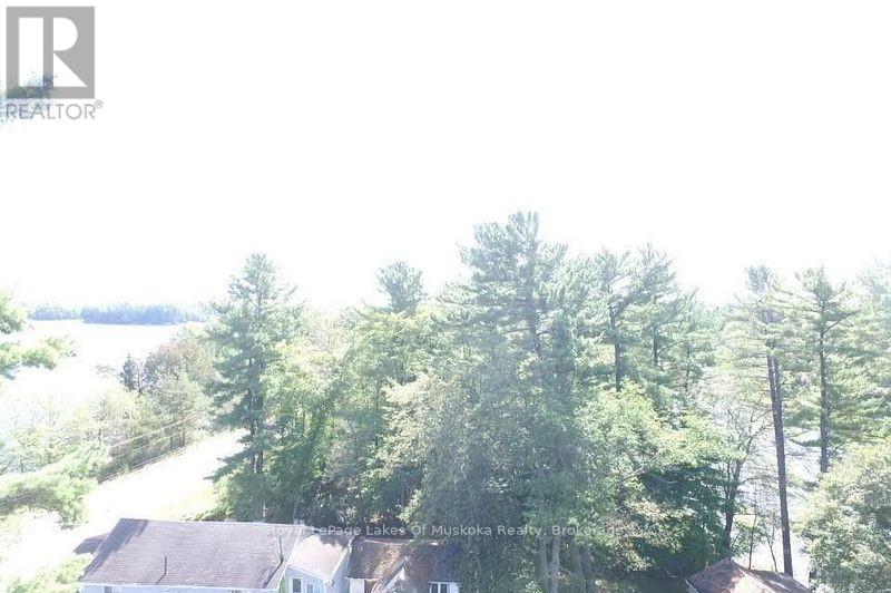 4019 Muskoka 169, Muskoka Lakes, Ontario  P0C 1A0 - Photo 20 - X12534158