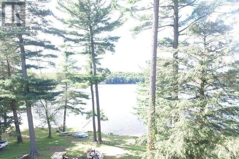 4019 Muskoka 169, Muskoka Lakes, Ontario  P0C 1A0 - Photo 23 - X12534158