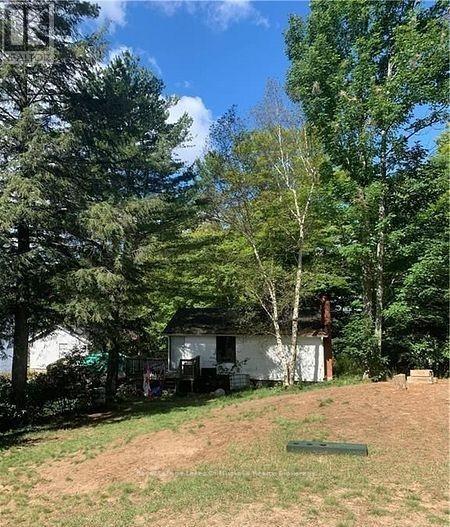 4019 Muskoka 169, Muskoka Lakes, Ontario  P0C 1A0 - Photo 29 - X12534158