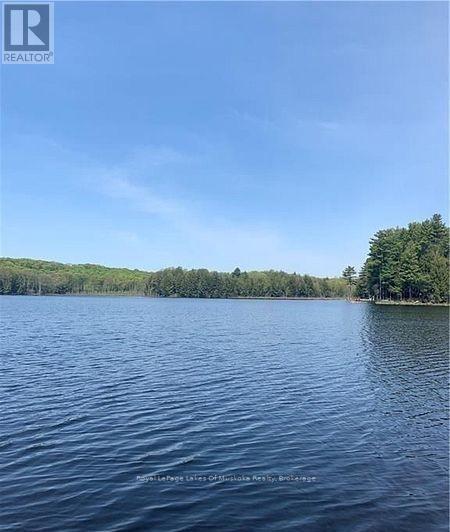 4019 Muskoka 169, Muskoka Lakes, Ontario  P0C 1A0 - Photo 30 - X12534158