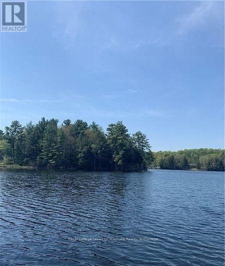 4019 Muskoka 169, Muskoka Lakes, Ontario  P0C 1A0 - Photo 31 - X12534158