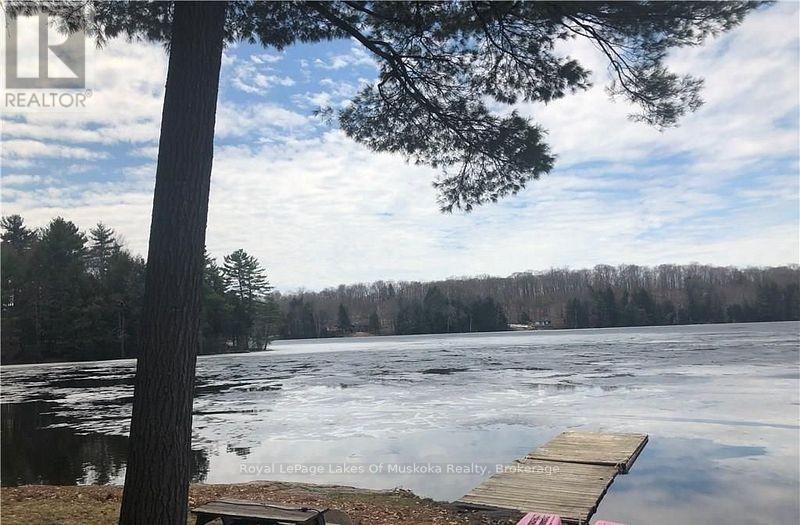 4019 Muskoka 169, Muskoka Lakes, Ontario  P0C 1A0 - Photo 40 - X12534158