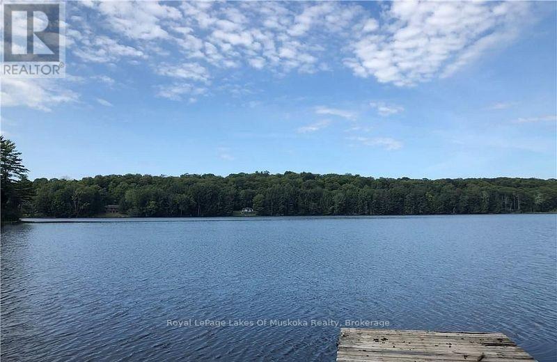 4019 Muskoka 169, Muskoka Lakes, Ontario  P0C 1A0 - Photo 41 - X12534158