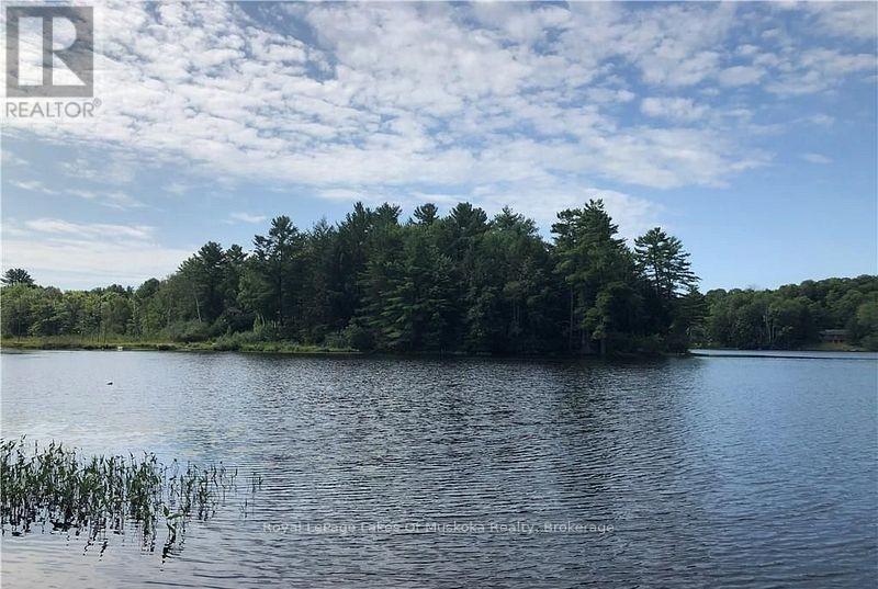 4019 Muskoka 169, Muskoka Lakes, Ontario  P0C 1A0 - Photo 42 - X12534158