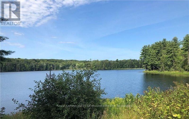 4019 Muskoka 169, Muskoka Lakes, Ontario  P0C 1A0 - Photo 43 - X12534158