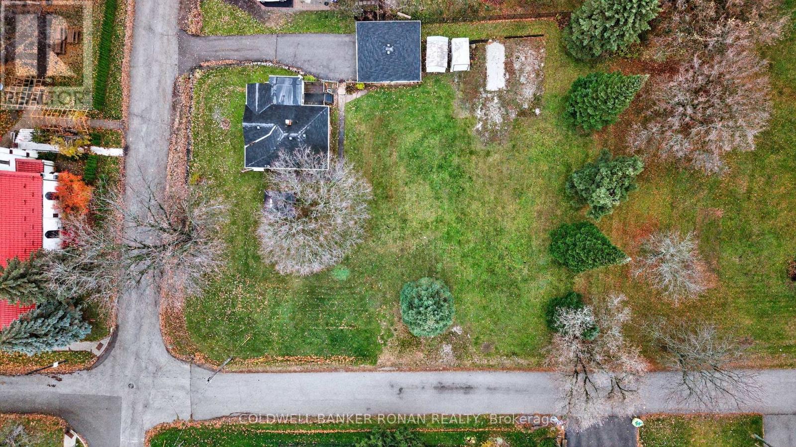 10 Hamilton Street, Innisfil, Ontario  L0L 1L0 - Photo 6 - N12534178