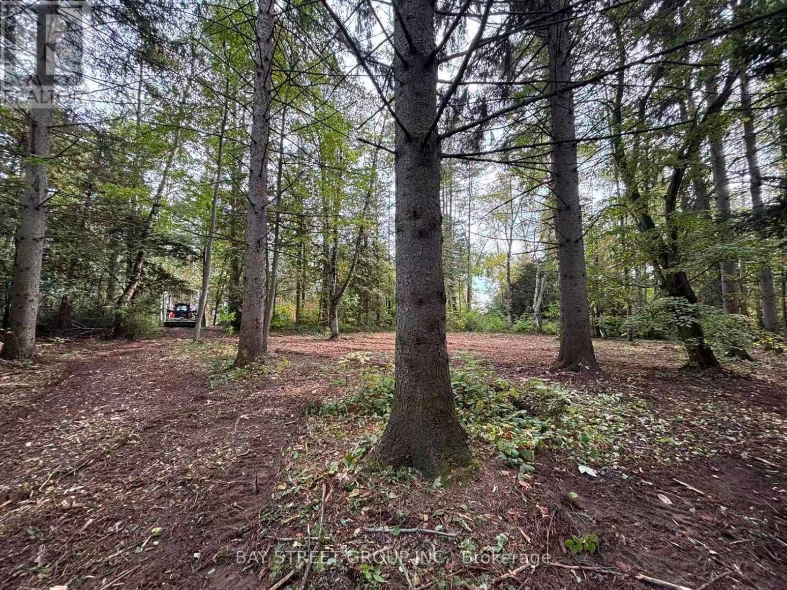 3358 Crescent Harbour Road, Innisfil, Ontario  L9S 2Y8 - Photo 2 - N12534192