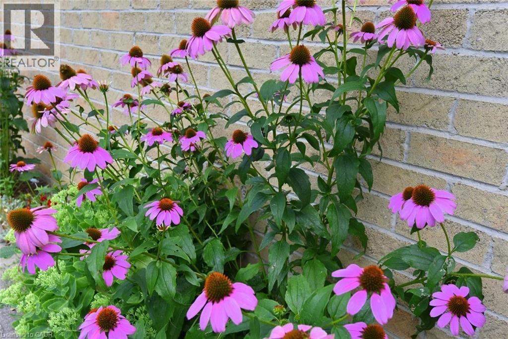 644 Upper Paradise Road Unit# 20, Hamilton, Ontario  L9C 7K8 - Photo 41 - 40757735