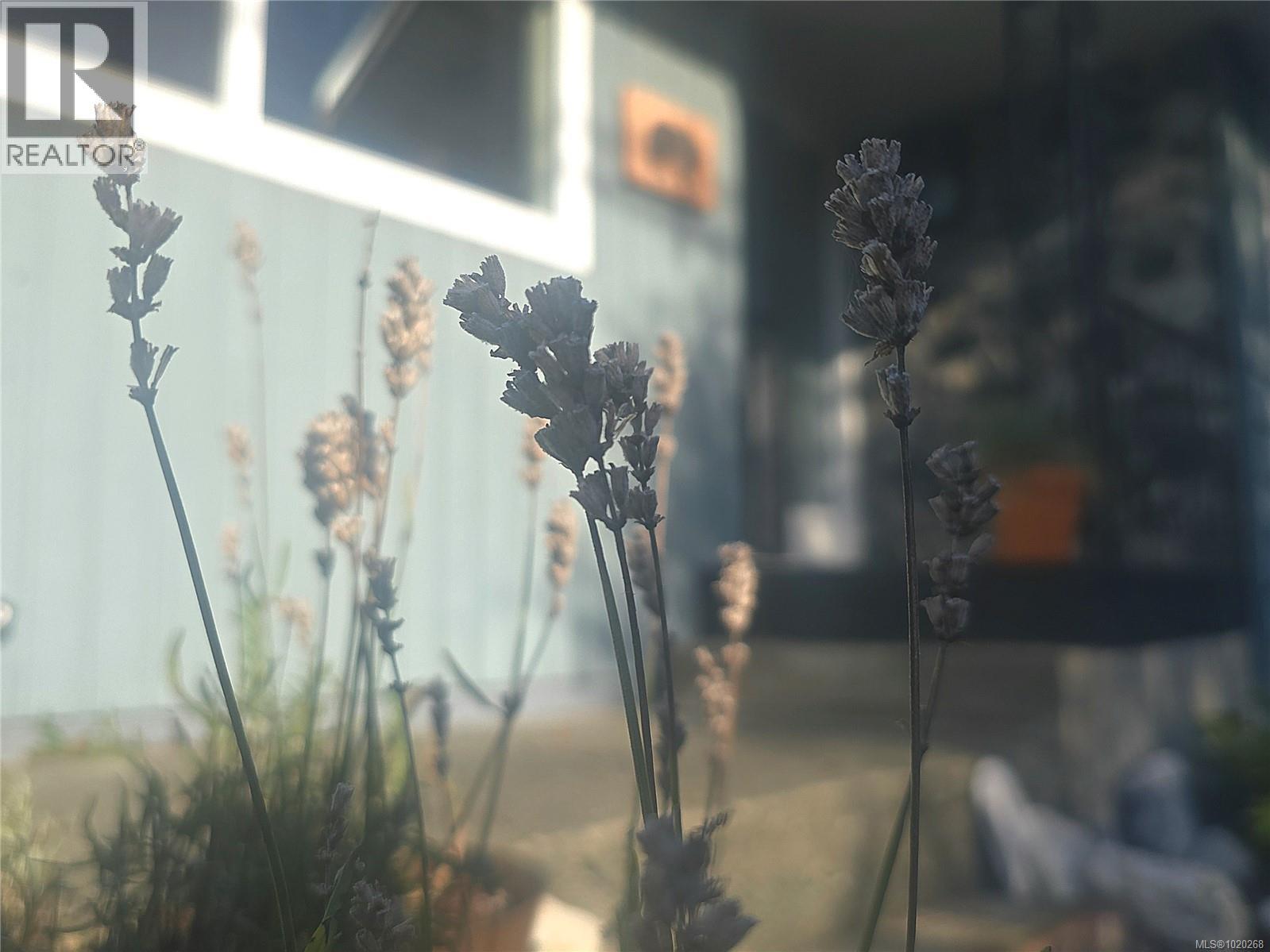 1776 Broughton Blvd, Port Mcneill, British Columbia  V0N 2R0 - Photo 90 - 1020268