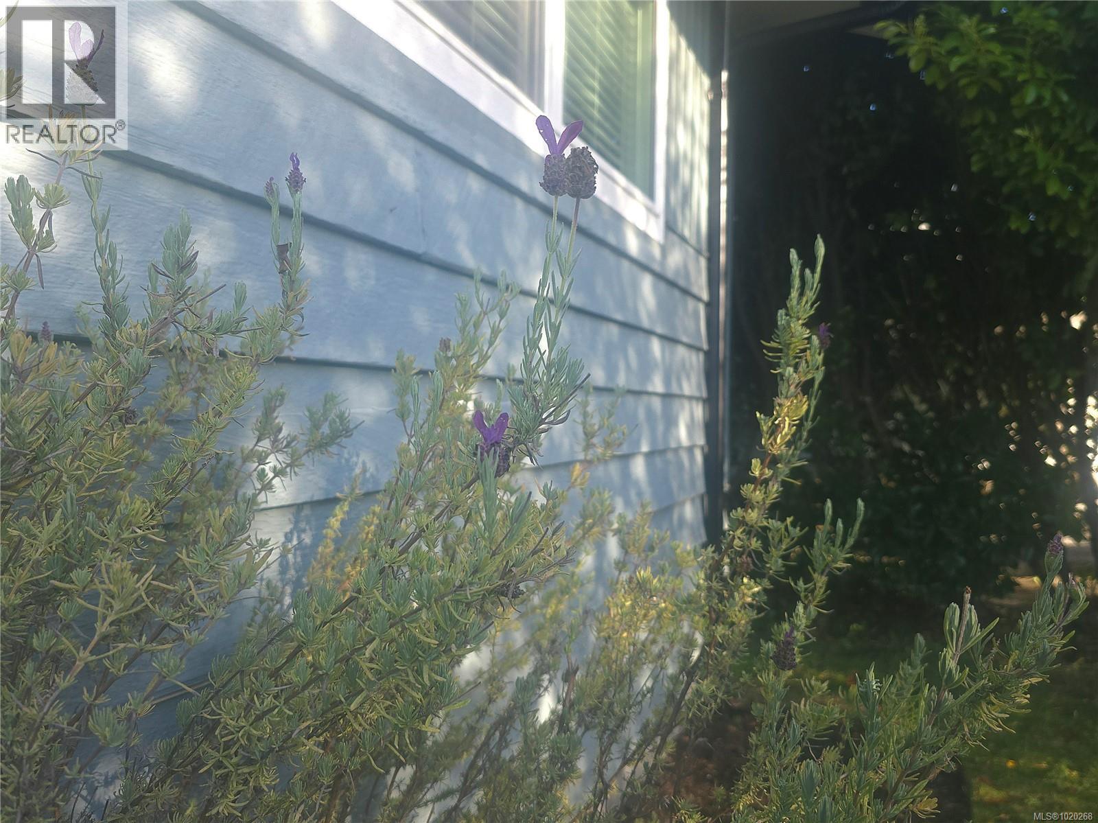 1776 Broughton Blvd, Port Mcneill, British Columbia  V0N 2R0 - Photo 91 - 1020268