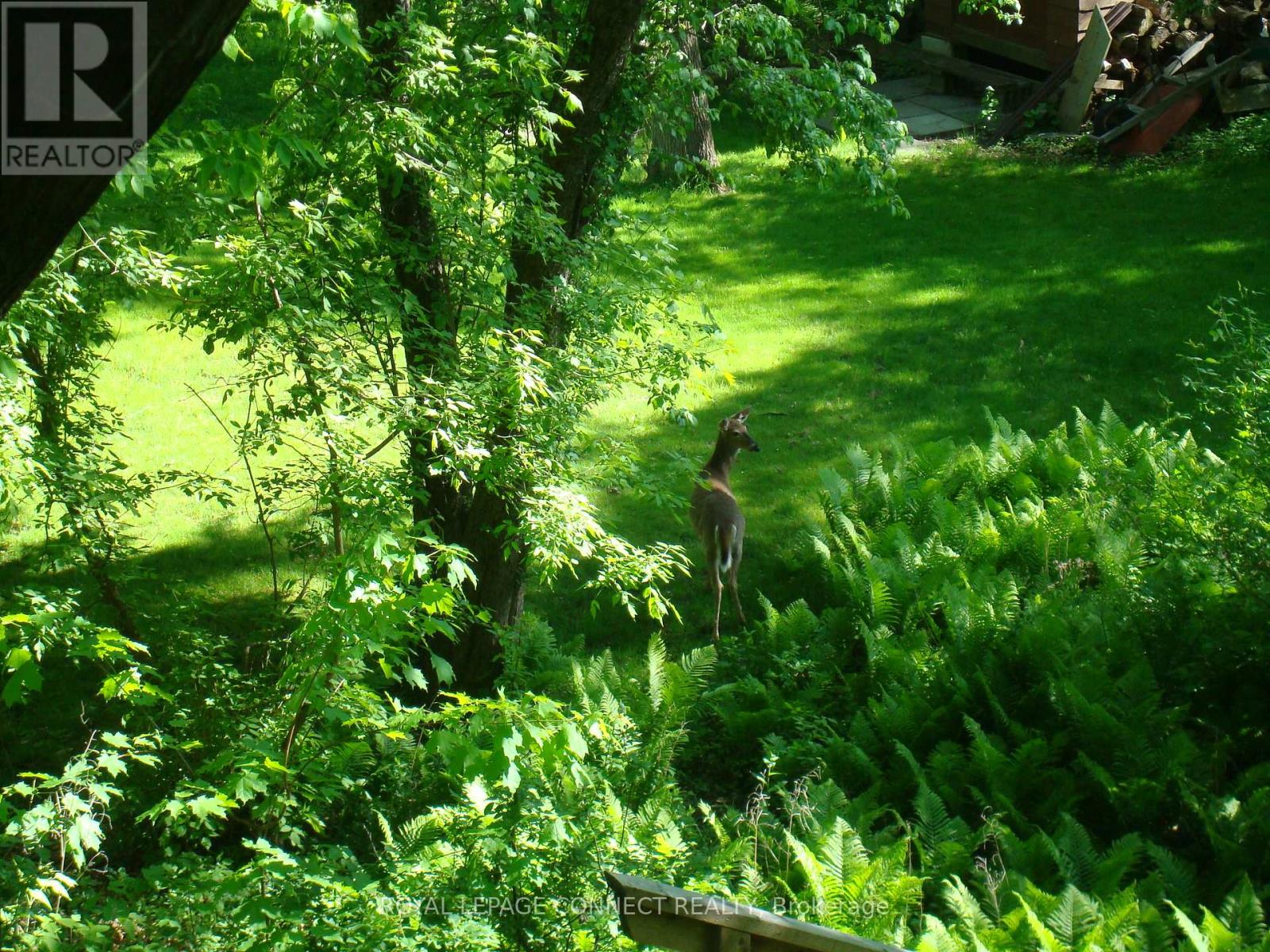 1436 Highbush Trail, Pickering, Ontario  L1V 1N5 - Photo 38 - E12524582