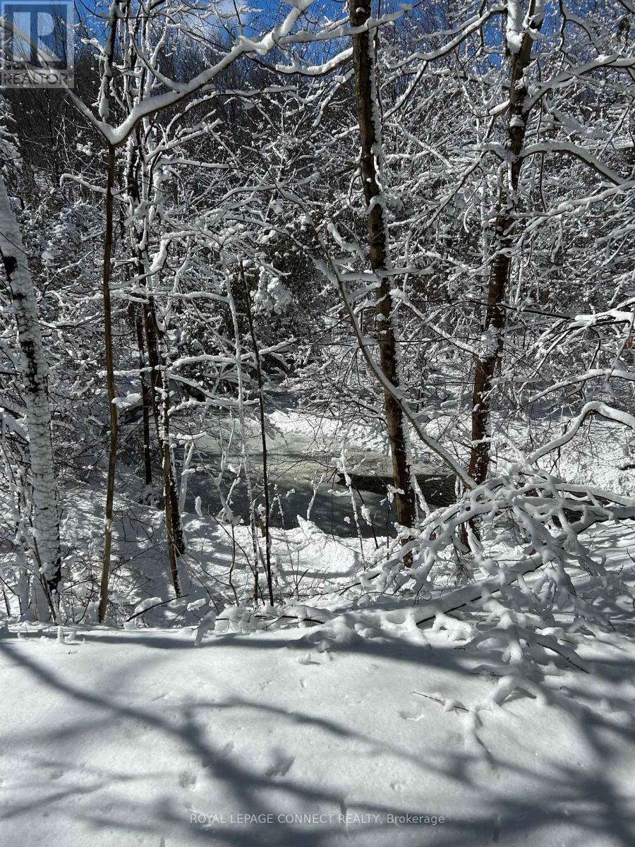 1436 Highbush Trail, Pickering, Ontario  L1V 1N5 - Photo 42 - E12524582