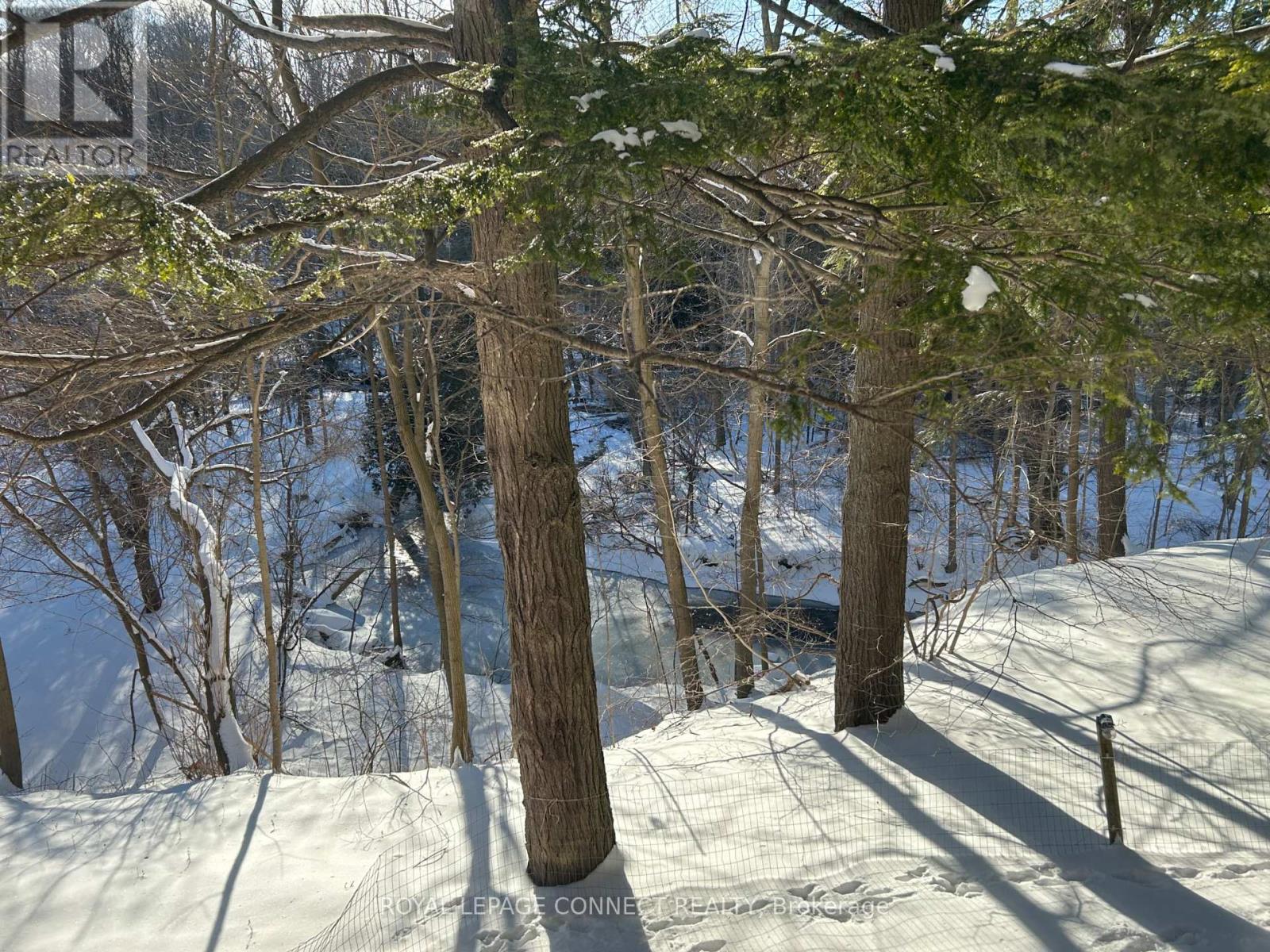 1436 Highbush Trail, Pickering, Ontario  L1V 1N5 - Photo 39 - E12524582