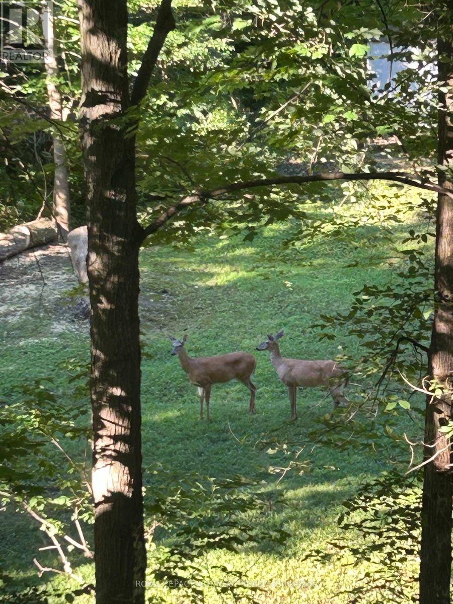 1436 Highbush Trail, Pickering, Ontario  L1V 1N5 - Photo 40 - E12524582