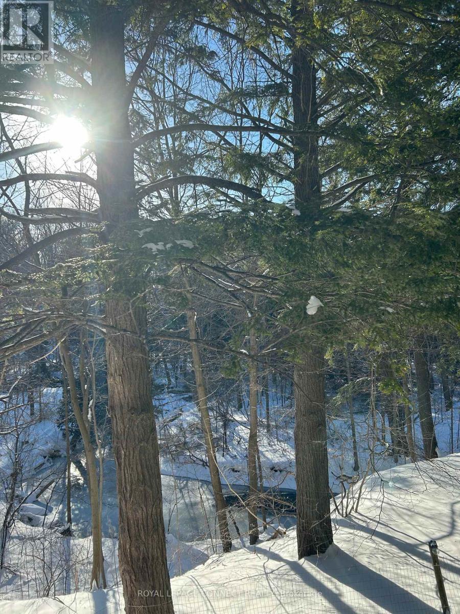 1436 Highbush Trail, Pickering, Ontario  L1V 1N5 - Photo 41 - E12524582