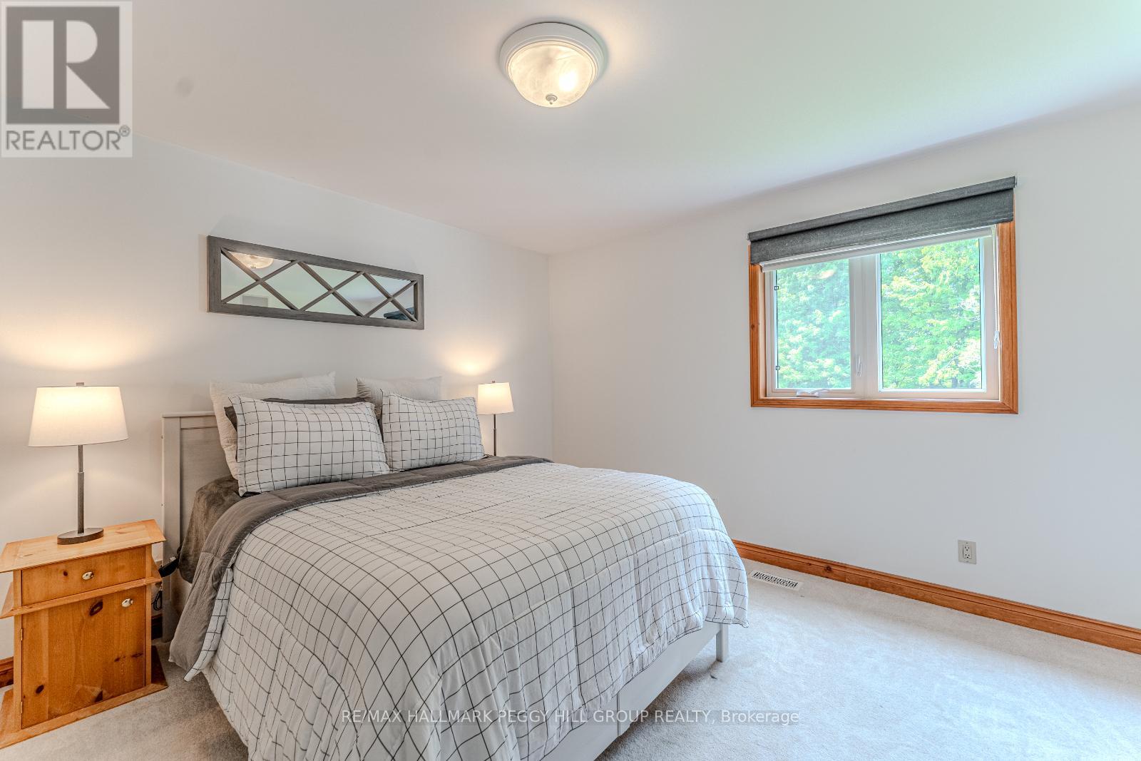 1238 Adjala-Tecumseth Townline, Adjala-Tosorontio, Ontario  L0G 1W0 - Photo 18 - N12394099