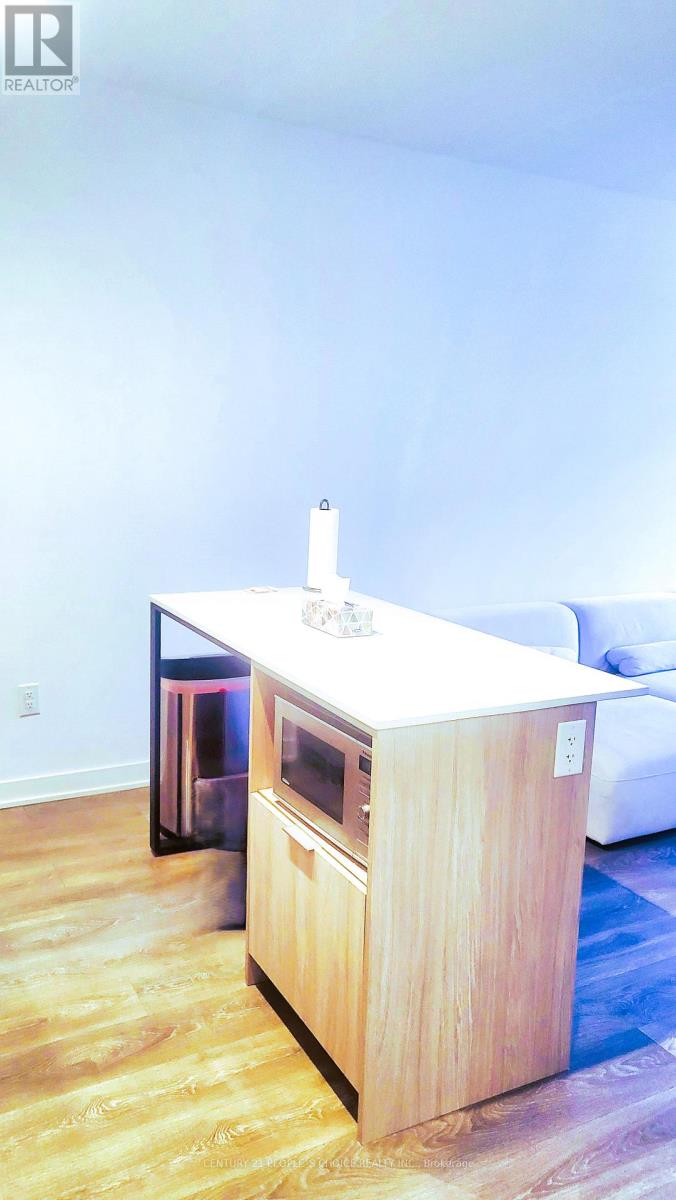 323 - 35 Tubman Avenue, Toronto, Ontario  M5A 0T1 - Photo 17 - C12534950