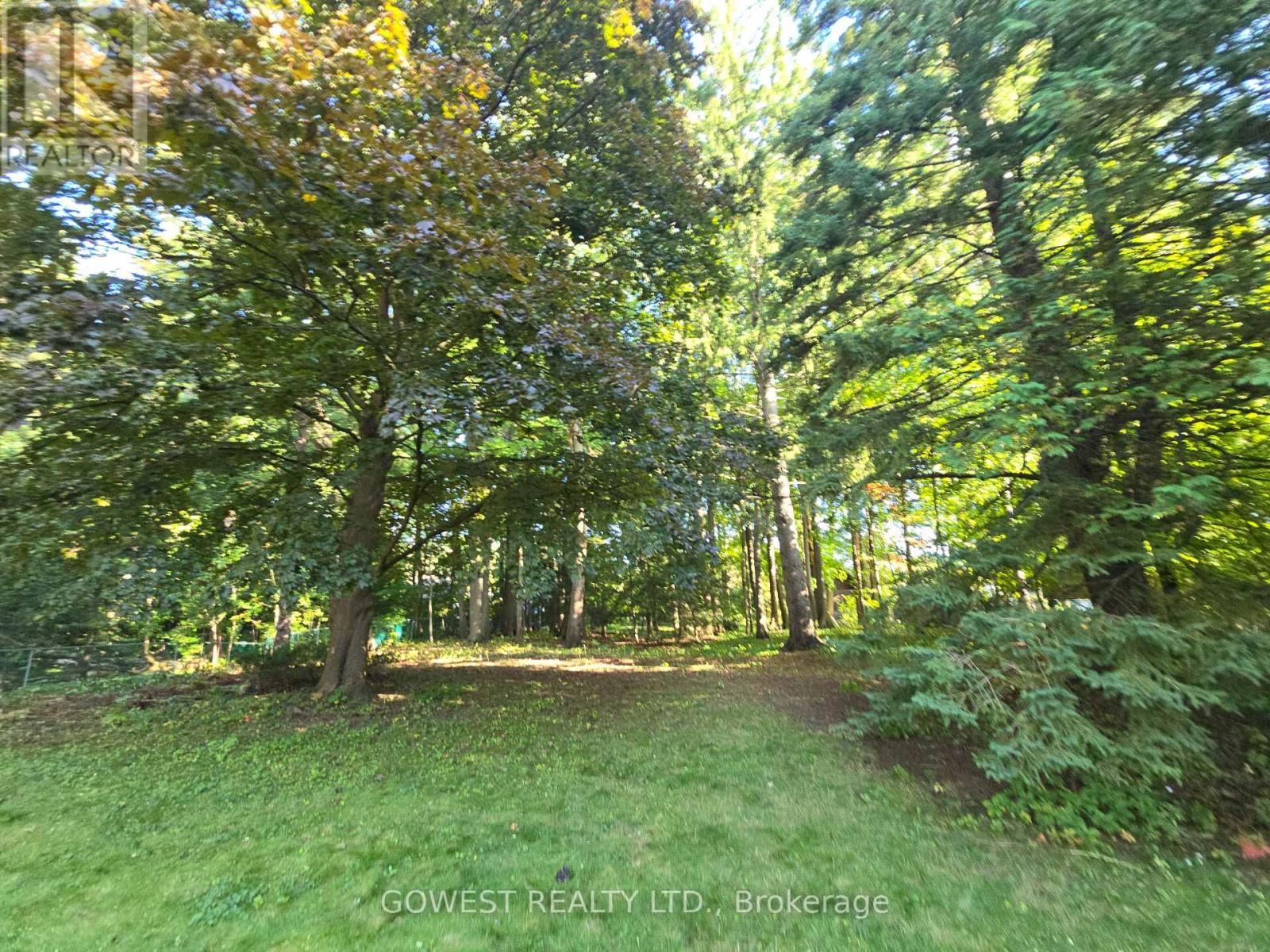 62 Pinewood Trail, Mississauga, Ontario  L5G 2L1 - Photo 7 - W12535064